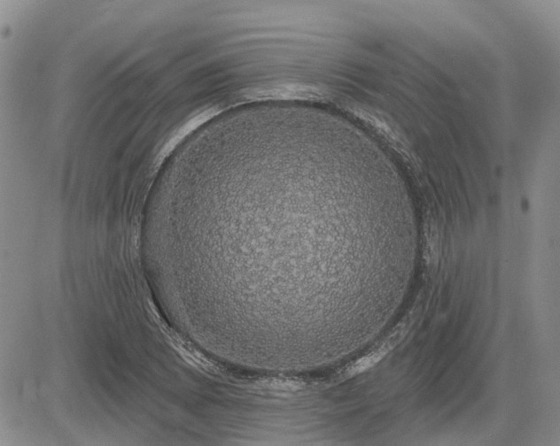 X0000085221073200703161239