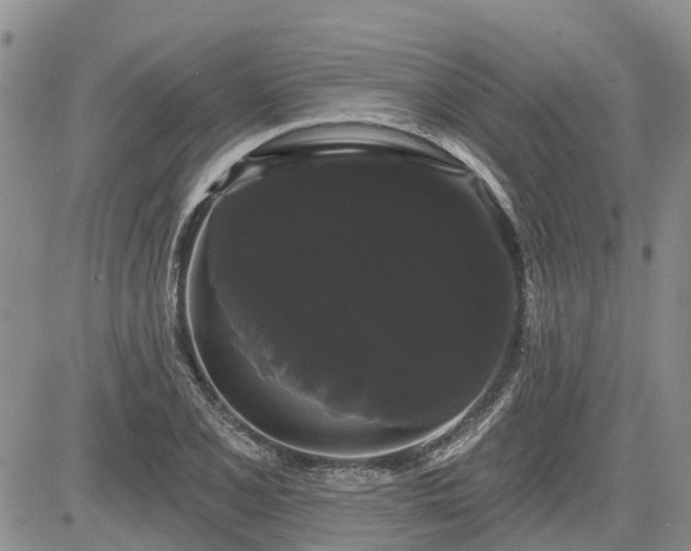 X0000085221077200703161239