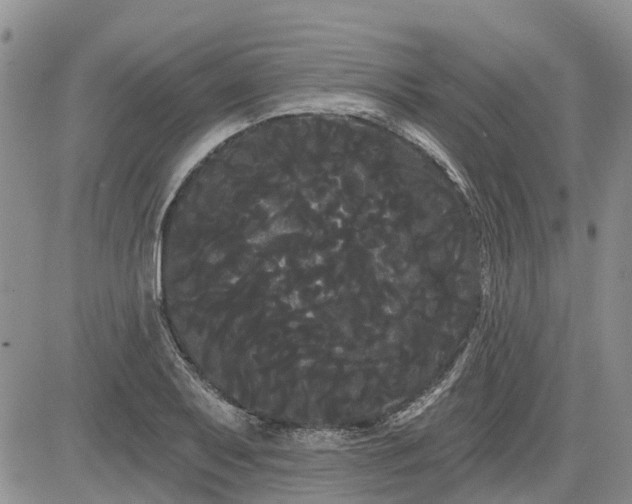 X0000085221079200703161239