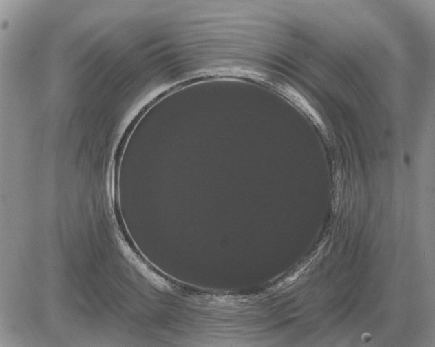 X0000085221084200703161238