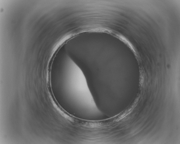 X0000085221095200703161238