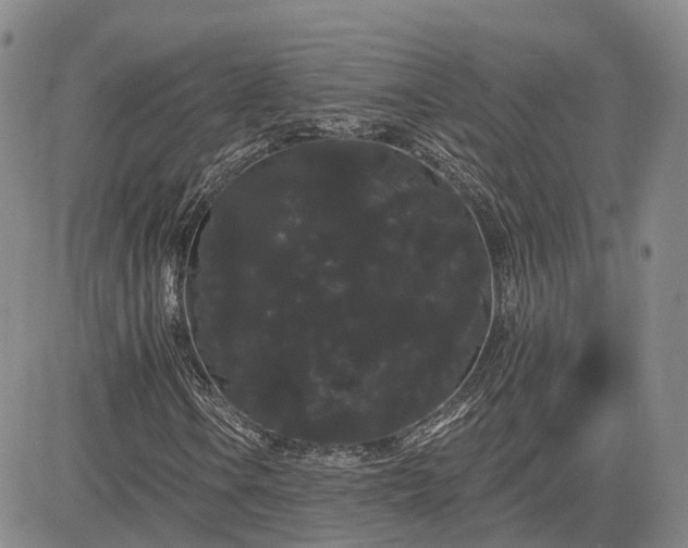 X0000085221106200703161237