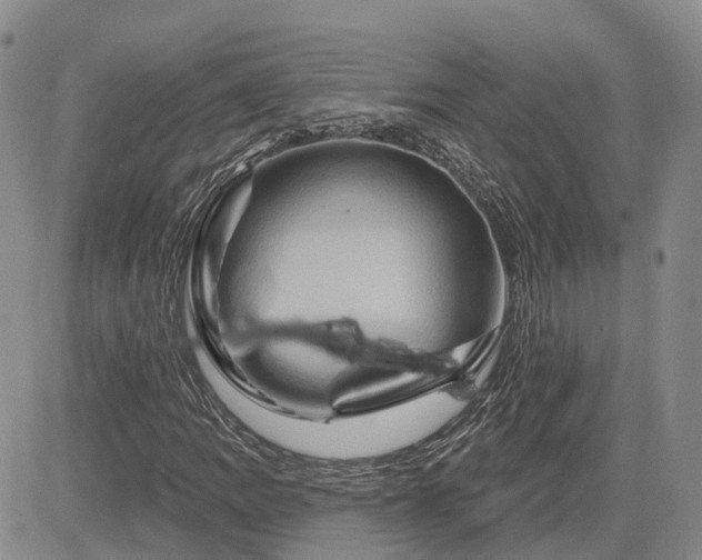 X0000085221109200703161237