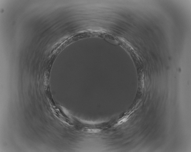 X0000085221110200703161237
