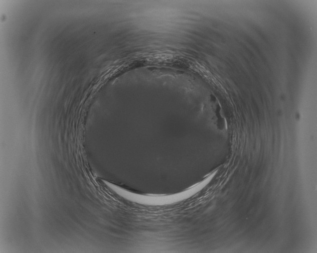 X0000085221153200703161237