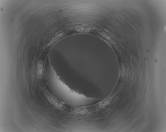 X0000085221154200703161237