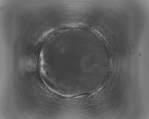 X0000085221158200703161237