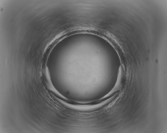 X0000085221165200703161237