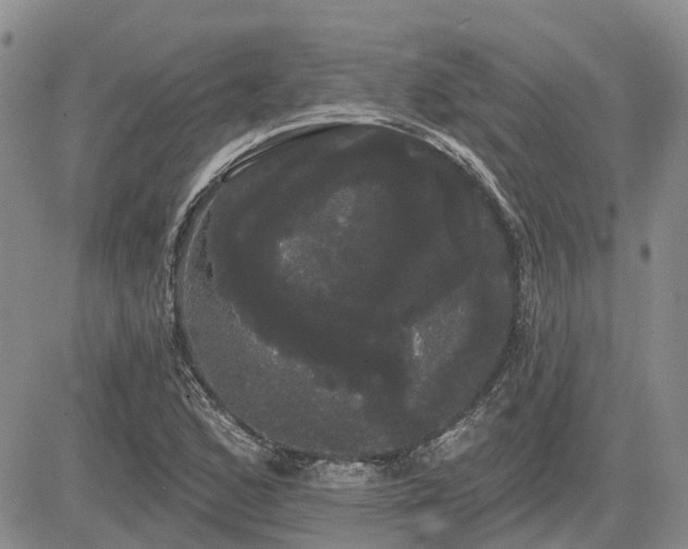 X0000085221168200703161237