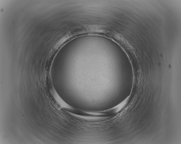 X0000085221169200703161237