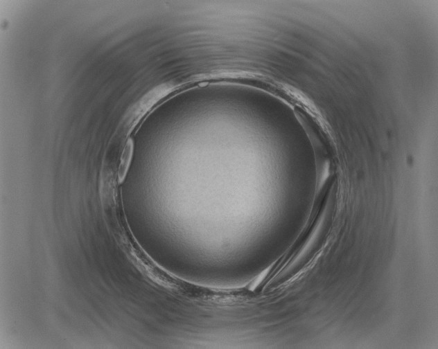 X0000085221177200703161237