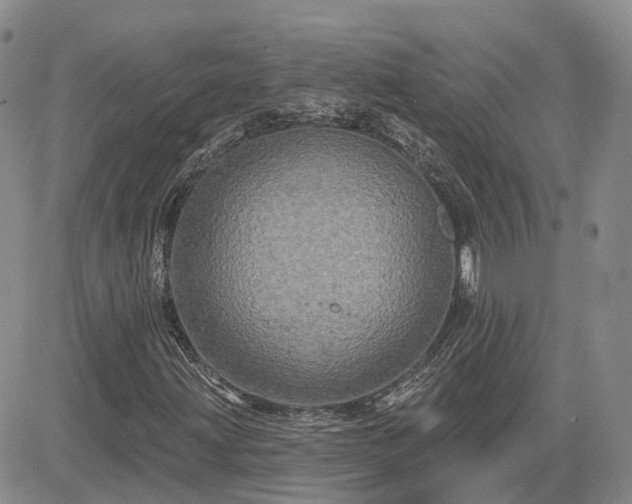 X0000085221203200703161236