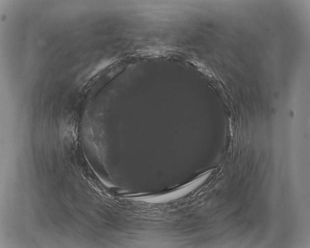 X0000085221206200703161236