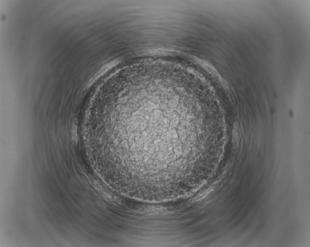 X0000085221209200703161236
