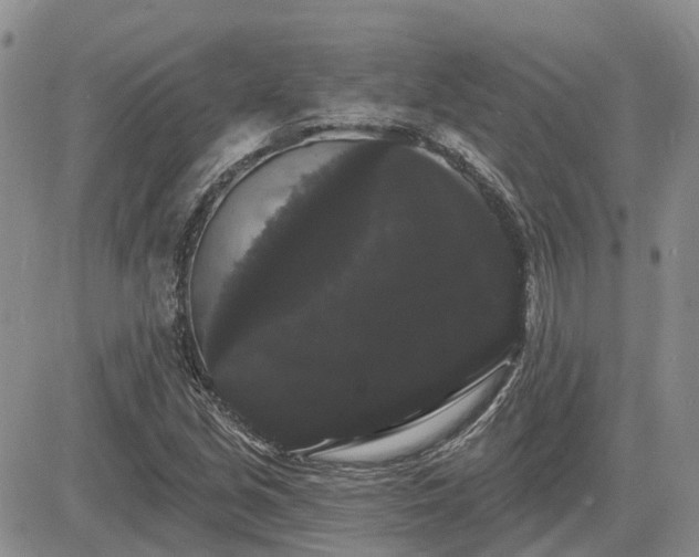 X0000085221213200703161236