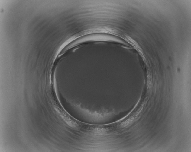 X0000085221226200703161236