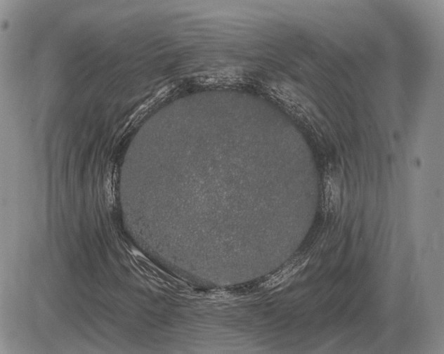 X0000085221250200703161236