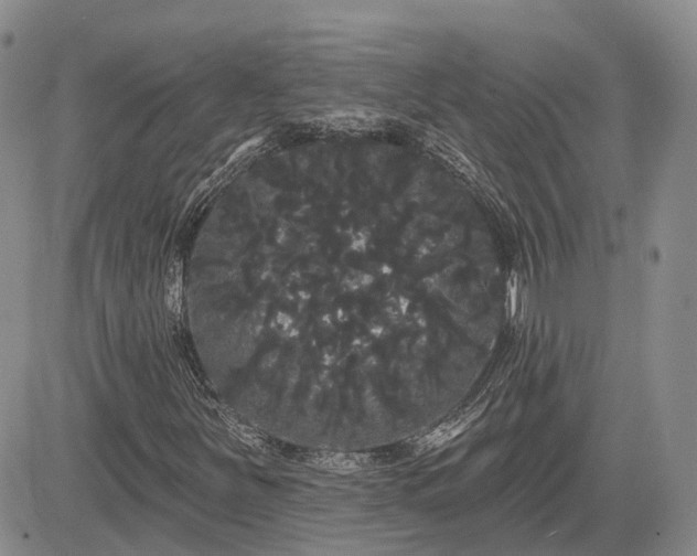 X0000085221251200703161236