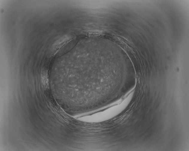 X0000085221252200703161236