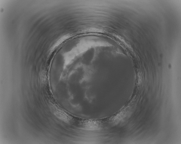X0000085221266200703161235