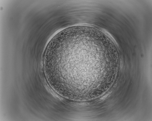X0000085221292200703161235