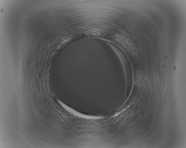 X0000085221297200703161234