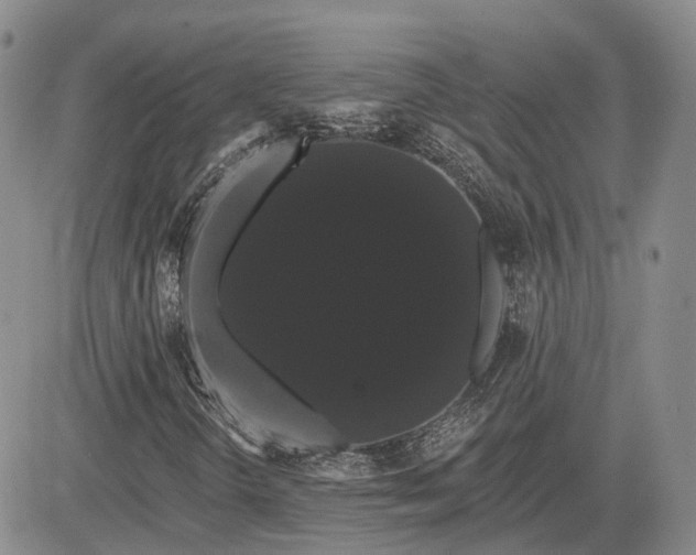 X0000085221298200703161234