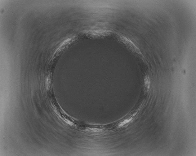 X0000085221300200703161234