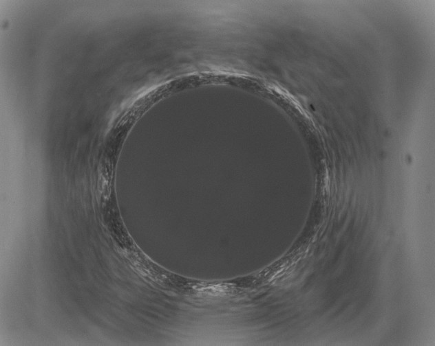 X0000085221303200703161234