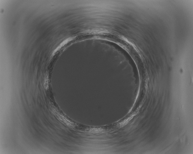 X0000085221306200703161234