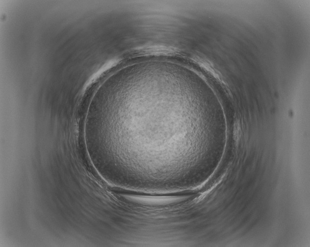 X0000085221309200703161234