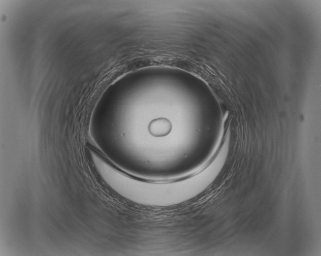 X0000085221345200703161234