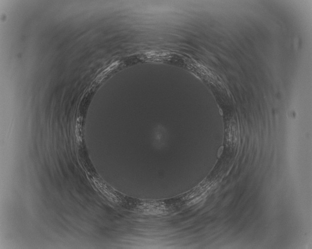 X0000085221346200703161234