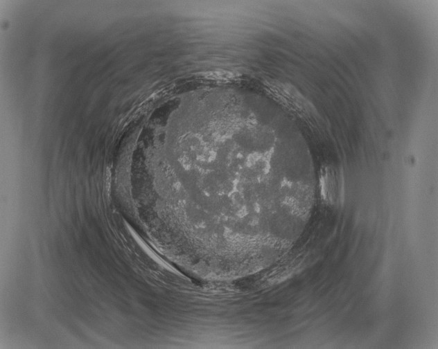 X0000085221347200703161234