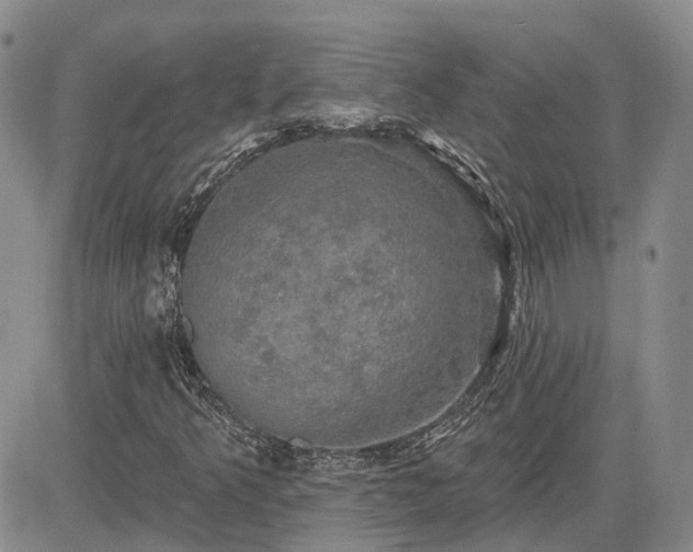 X0000085221349200703161234