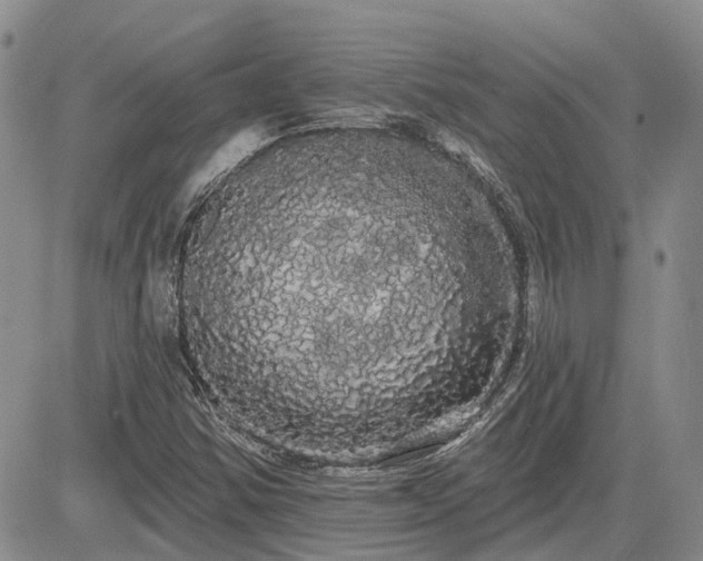 X0000085221354200703161234