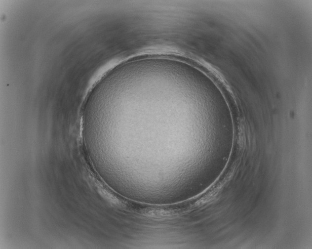X0000085221366200703161234