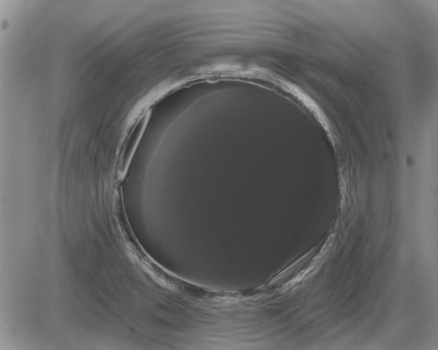 X0000085221373200703161234