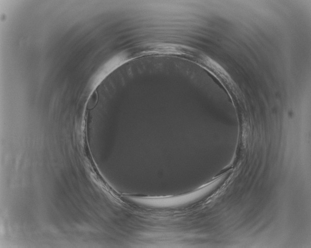 X0000085221378200703161234