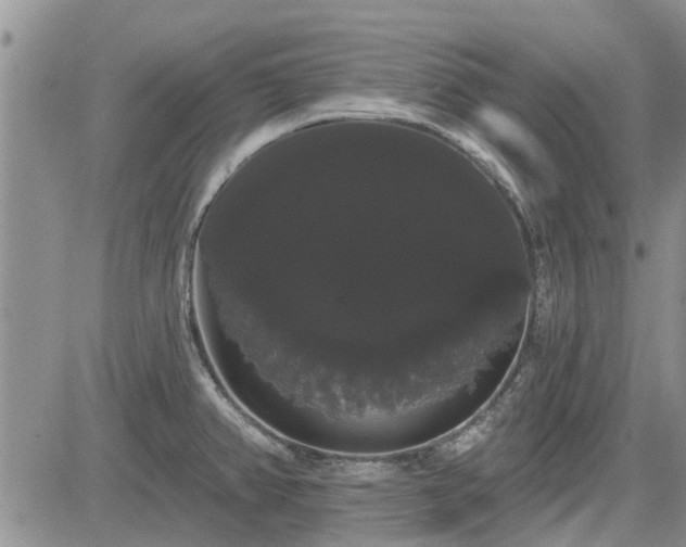 X0000085221382200703161234
