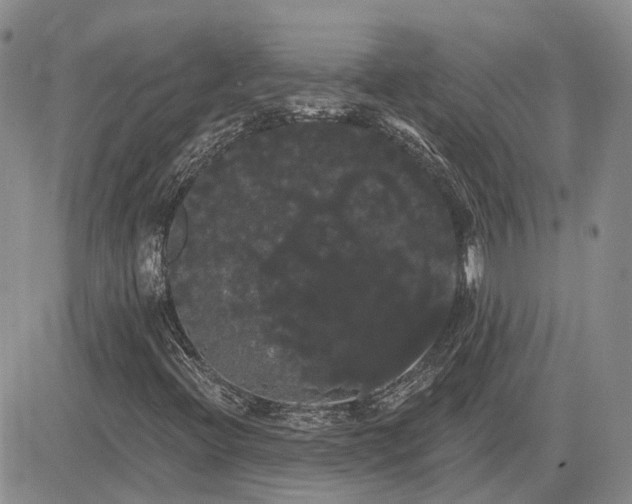 X0000085221396200703161233