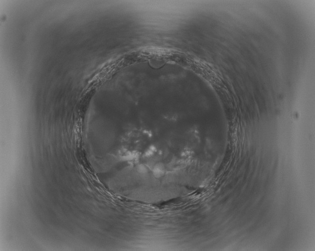 X0000085221397200703161233