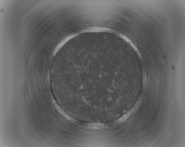 X0000085221417200703161233