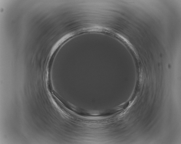 X0000085221418200703161233