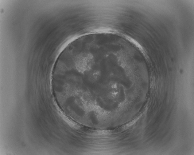 X0000085221423200703161233