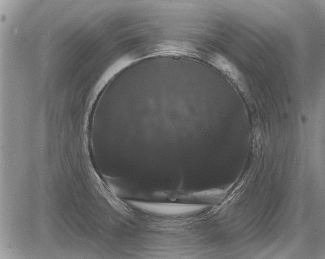 X0000085221427200703161233