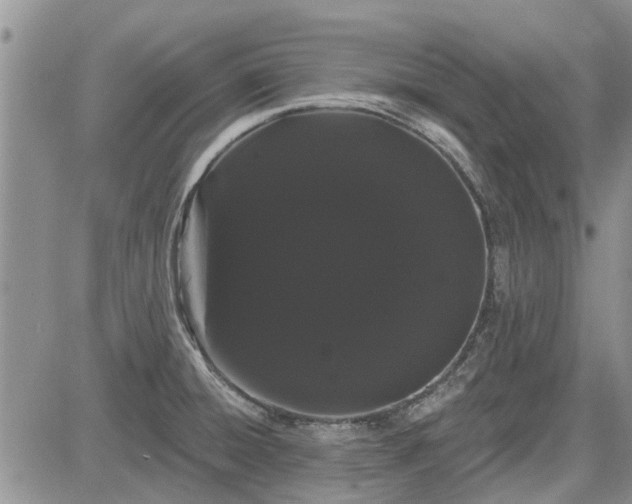 X0000085221428200703161233