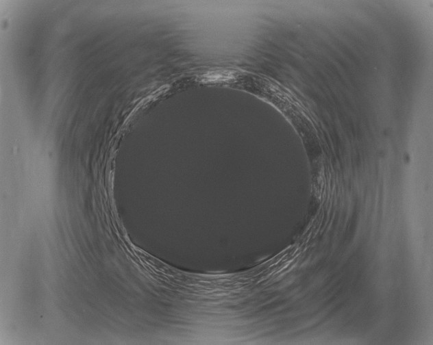 X0000085221441200703161233