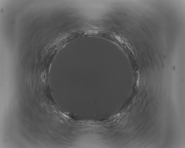 X0000085221445200703161232
