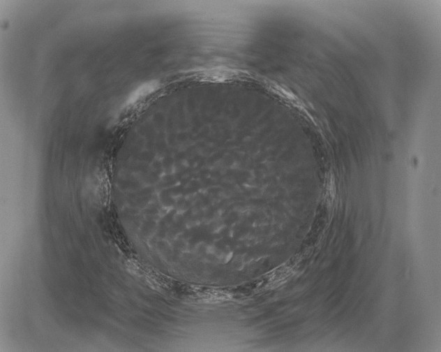 X0000085221446200703161232
